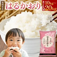 【ふるさと納税】福岡県産米 はるかおり 精米 〈選べる〉10kg or 2...