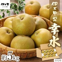 【ふるさと納税】【2025年産先行予約】【数量限定】伊万里梨 「幸水」 約...