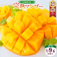 【ふるさと納税】リピーター続出!!≪玉数が選べる≫数量限定 宮崎県産 完熟...