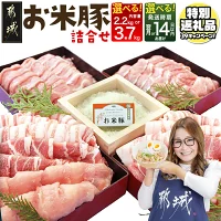 【ふるさと納税】【期間限定特別規格！！】【内容量＆発送時期が選べる！】お米...