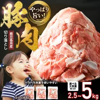 畜産王国鹿児島の豚肉！袋タイプのため保存に便利！生姜焼きやカレー等、あらゆ...