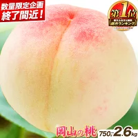 【ふるさと納税】 桃 【先行予約】 岡山県産 岡山の桃 約750g 約1k...