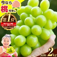 【ふるさと納税】【限定企画登場！】年間ランキングTOP50受賞！ 厳選 シ...